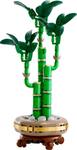 lucky bamboo 10344